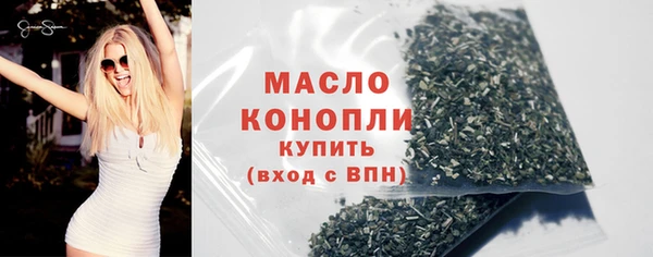 2c-b Ельня