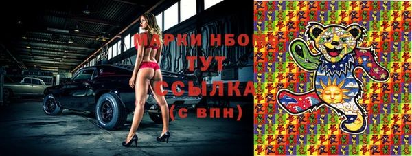2c-b Ельня