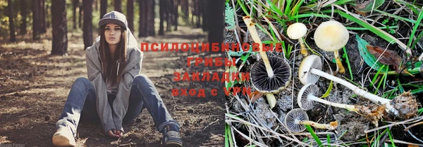 марихуана Елизово