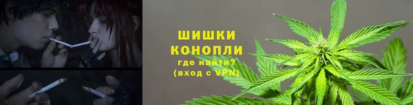2c-b Ельня