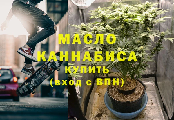 2c-b Ельня