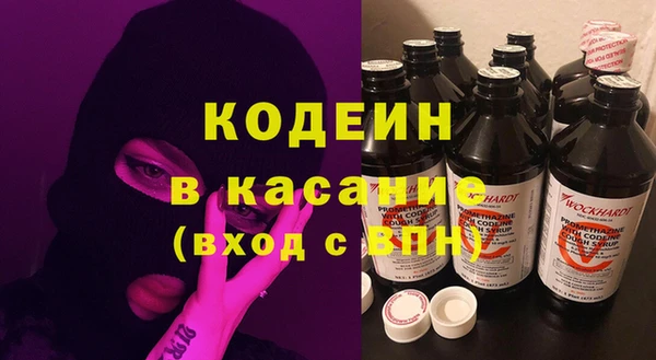 2c-b Ельня