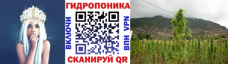 Бошки марихуана сатива  Купить закладки  Мамадыш 